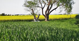 Marketing digital - image post 1481