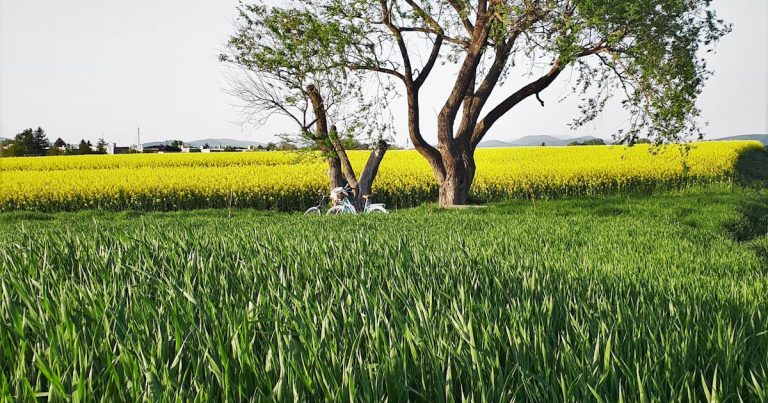 Marketing digital - image post 1481