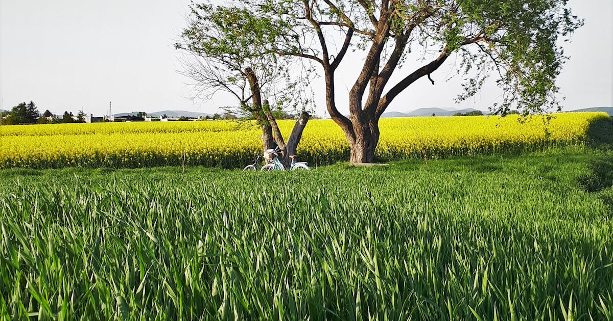 Marketing digital - image post 1481