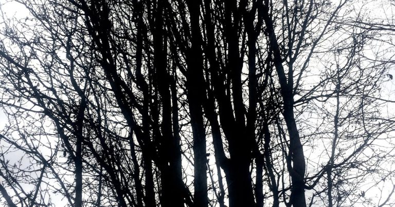 Marketing digital - image post 1594