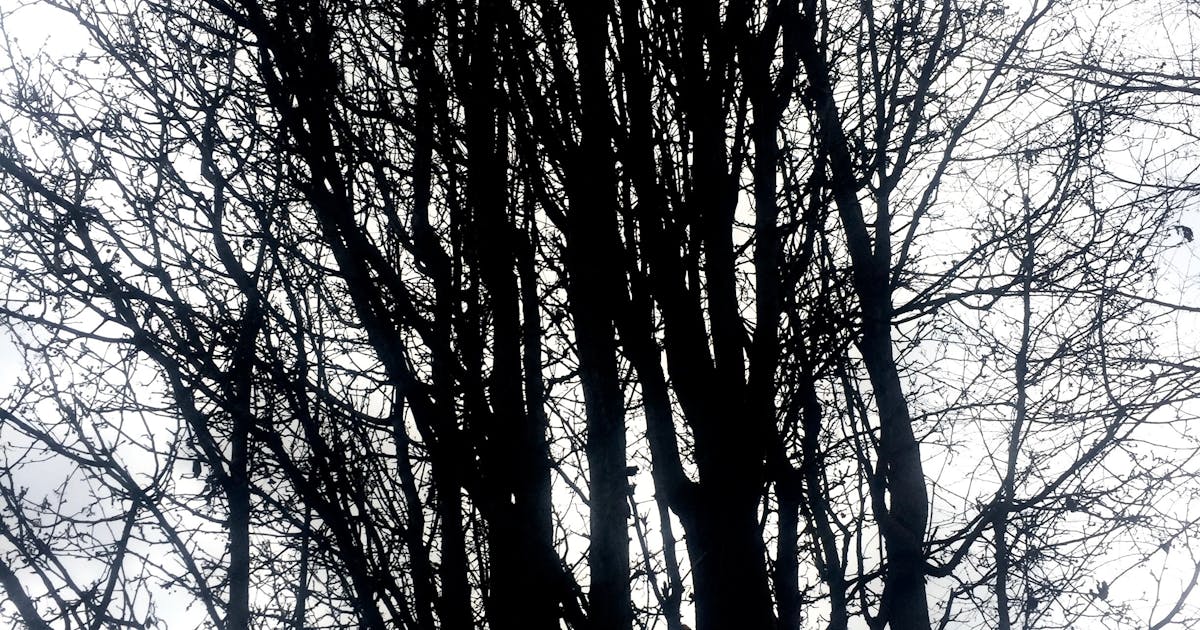 Marketing digital - image post 1594