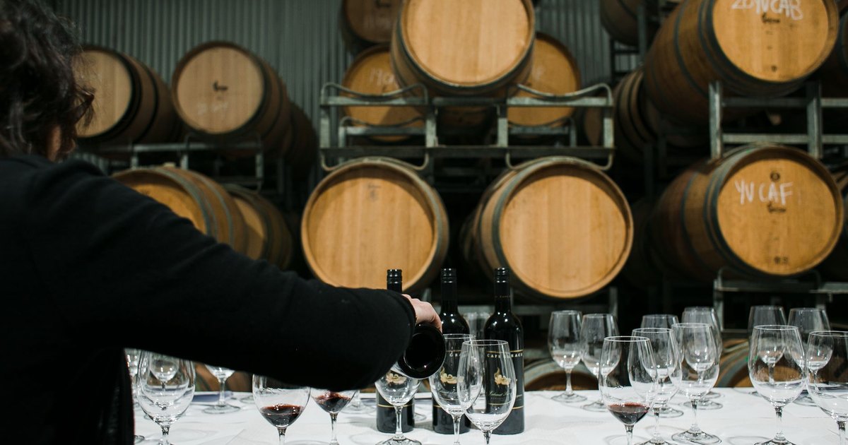 Sommelier servant du vin dans une cave devant des tonneaux